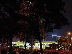 -深圳市宝安体育中心体育场