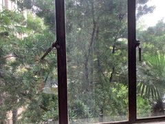 -上海大学(嘉定校区)