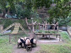 -重庆动物园·东二门售票处