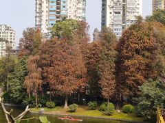 -晓港公园