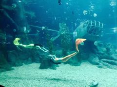 -福州罗源湾海洋世界旅游区