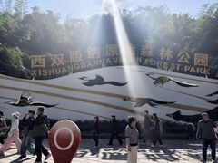-西双版纳原始森林公园