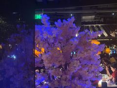 -绿茶餐厅(昆明世纪金源店)