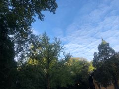 -灵谷景区