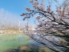 -南海子公园