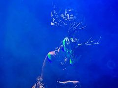 -车溪民俗旅游区