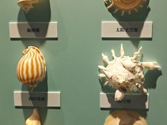-大连自然博物馆