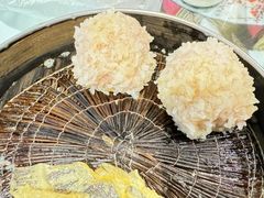 大力丸-风波庄(罍街分舵)