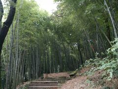 -西湖风景区十里琅珰-五云山