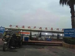 -大湾区中央湿地公园-十九涌
