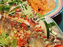 -泰妃殿(武汉首店)