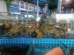 -渔人湾码头海鲜市场负二楼