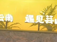 -芸山季·云南野生菌火锅(南翔印象城MEGA店)