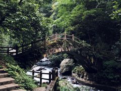 -西岭雪山大飞水景区
