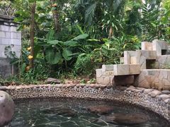 -三亚珠江南田温泉度假区