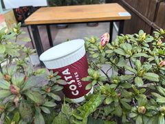 -COSTA COFFEE(上海虹口公园店)