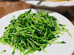 -普陀山雷迪森庄园