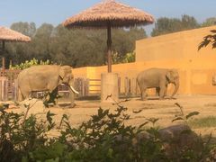 -沈阳森林动物园