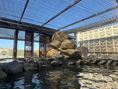 -春晖园度假酒店温泉