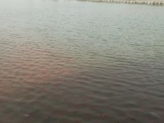 景点-西海子公园