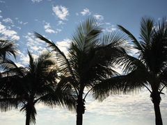-深圳湾公园-停车场