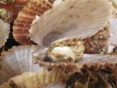 -北方饺子王·海肠捞饭·海鲜锅(山大店)