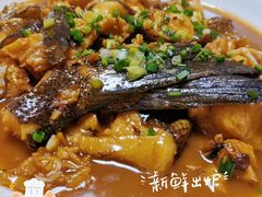 -全乐鱼馆·淳牌有机鱼直营店