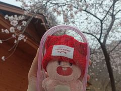 -何适山庄(水长城P2停车场店)