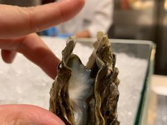 -顺德美的万豪酒店·自助餐·贡厨