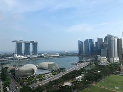 -新加坡瑞士史丹福酒店