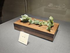 -大连自然博物馆
