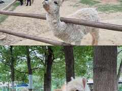 -常州淹城野生动物世界