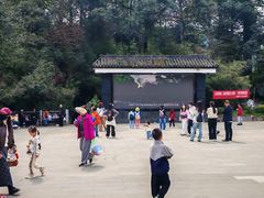 -中国大熊猫保护研究中心雅安碧峰峡基地
