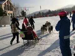 -亚布力新体委滑雪场