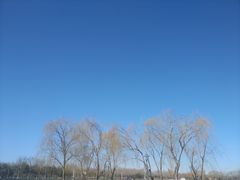 -大兴滨河森林公园