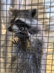 -酷嗒动物文化乐园(cutezoo西溪乐天城店)