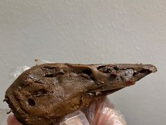 -张鸭子重庆特产卤味小吃(凯瑞店)