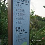 一场说走就走的金黄之旅