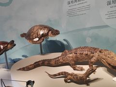 -中国湿地博物馆