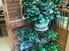 -阿鹏故事云南野生菌火锅(人民路店)
