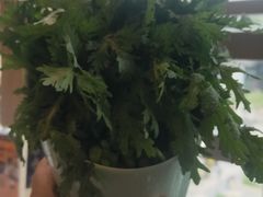 -润园四季椰子鸡火锅(南山海岸城店)