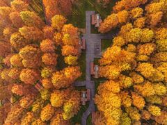 -黄海国家森林公园