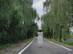 -白鹭湾湿地公园