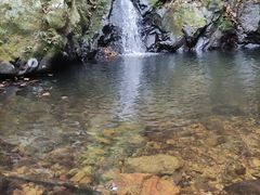 -梧桐山风景名胜区