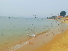 -老虎石海上公园