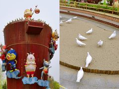 -南宫五洲植物乐园