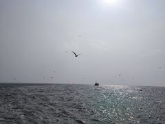 -长岛南北长山旅游景区