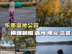 -东郊湿地公园