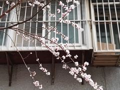 -和平门菜市场