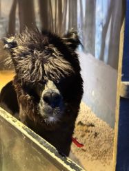 -酷嗒动物文化乐园(cutezoo西溪乐天城店)